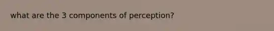 what are the 3 components of perception?