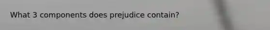 What 3 components does prejudice contain?