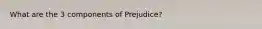 What are the 3 components of Prejudice?