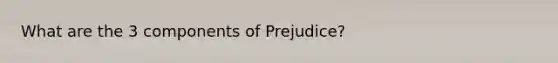 What are the 3 components of Prejudice?