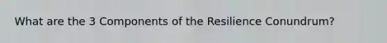 What are the 3 Components of the Resilience Conundrum?