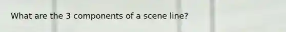 What are the 3 components of a scene line?