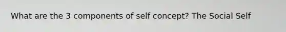 What are the 3 components of self concept? The Social Self