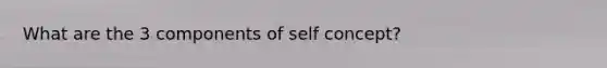 What are the 3 components of self concept?