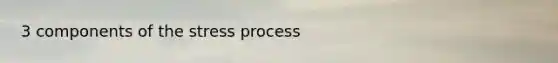 3 components of the stress process
