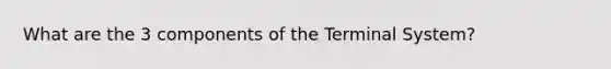 What are the 3 components of the Terminal System?