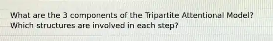 What are the 3 components of the Tripartite Attentional Model? Which structures are involved in each step?