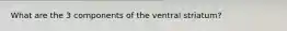 What are the 3 components of the ventral striatum?