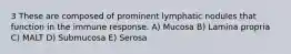 3 These are composed of prominent lymphatic nodules that function in the immune response. A) Mucosa B) Lamina propria C) MALT D) Submucosa E) Serosa