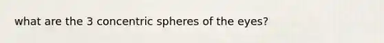 what are the 3 concentric spheres of the eyes?