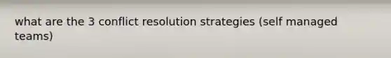 what are the 3 conflict resolution strategies (self managed teams)