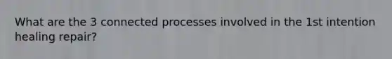 What are the 3 connected processes involved in the 1st intention healing repair?