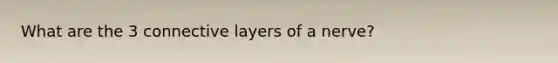 What are the 3 connective layers of a nerve?