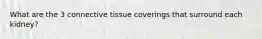 What are the 3 connective tissue coverings that surround each kidney?