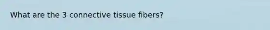 What are the 3 connective tissue fibers?