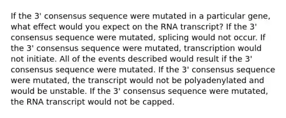 If the 3' consensus sequence were mutated in a particular gene, what effect would you expect on the RNA transcript? If the 3' consensus sequence were mutated, splicing would not occur. If the 3' consensus sequence were mutated, transcription would not initiate. All of the events described would result if the 3' consensus sequence were mutated. If the 3' consensus sequence were mutated, the transcript would not be polyadenylated and would be unstable. If the 3' consensus sequence were mutated, the RNA transcript would not be capped.