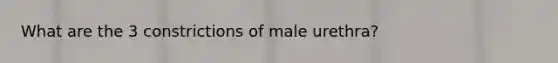 What are the 3 constrictions of male urethra?