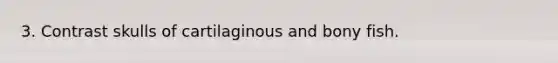3. Contrast skulls of cartilaginous and bony fish.