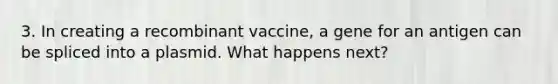 3. In creating a recombinant vaccine, a gene for an antigen can be spliced into a plasmid. What happens next?