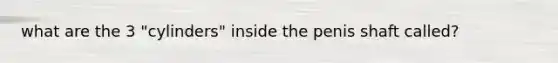 what are the 3 "cylinders" inside the penis shaft called?