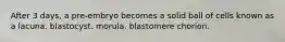 After 3 days, a pre-embryo becomes a solid ball of cells known as a lacuna. blastocyst. morula. blastomere chorion.