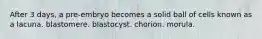 After 3 days, a pre-embryo becomes a solid ball of cells known as a lacuna. blastomere. blastocyst. chorion. morula.