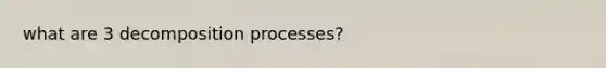 what are 3 decomposition processes?