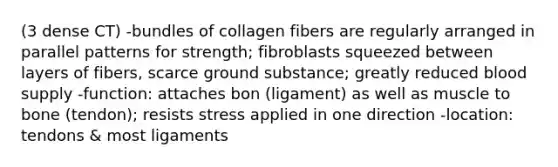 (3 dense CT) -bundles of collagen fibers are regularly arranged in parallel patterns for strength; fibroblasts squeezed between layers of fibers, scarce ground substance; greatly reduced blood supply -function: attaches bon (ligament) as well as muscle to bone (tendon); resists stress applied in one direction -location: tendons & most ligaments