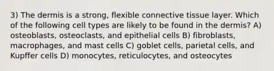 3) The dermis is a strong, flexible connective tissue layer. Which of the following cell types are likely to be found in the dermis? A) osteoblasts, osteoclasts, and epithelial cells B) fibroblasts, macrophages, and mast cells C) goblet cells, parietal cells, and Kupffer cells D) monocytes, reticulocytes, and osteocytes