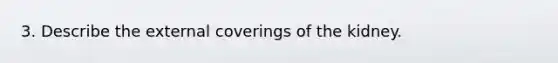 3. Describe the external coverings of the kidney.