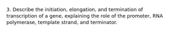 3. Describe the initiation, elongation, and termination of transcription of a gene, explaining the role of the promoter, RNA polymerase, template strand, and terminator.