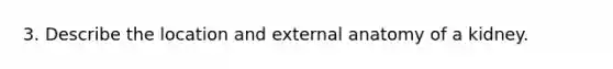 3. Describe the location and external anatomy of a kidney.