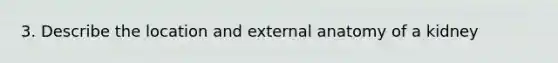 3. Describe the location and external anatomy of a kidney