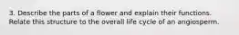 3. Describe the parts of a flower and explain their functions. Relate this structure to the overall life cycle of an angiosperm.