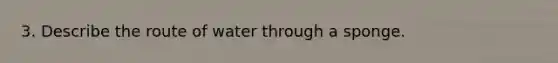 3. Describe the route of water through a sponge.