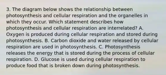 3. The diagram below shows the relationship between photosynthesis and cellular respiration and the organelles in which they occur. Which statement describes how photosynthesis and cellular respiration are interrelated? A. Oxygen is produced during cellular respiration and stored during photosynthesis. B. Carbon dioxide and water released by cellular respiration are used in photosynthesis. C. Photosynthesis releases the energy that is stored during the process of cellular respiration. D. Glucose is used during cellular respiration to produce food that is broken down during photosynthesis.