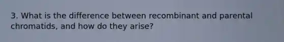 3. What is the difference between recombinant and parental chromatids, and how do they arise?