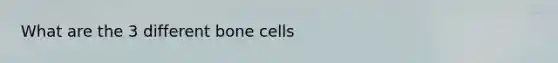 What are the 3 different bone cells