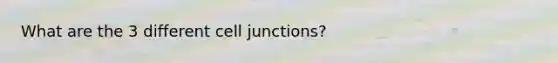 What are the 3 different cell junctions?