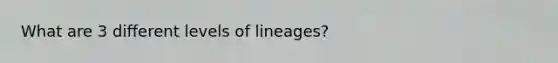 What are 3 different levels of lineages?