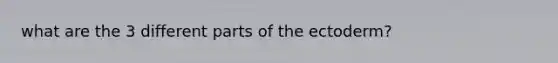 what are the 3 different parts of the ectoderm?