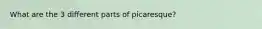 What are the 3 different parts of picaresque?