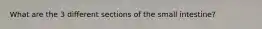 What are the 3 different sections of the small intestine?