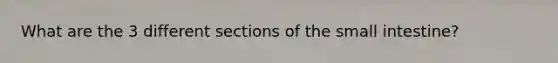 What are the 3 different sections of the small intestine?