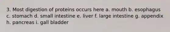 3. Most digestion of proteins occurs here a. mouth b. esophagus c. stomach d. small intestine e. liver f. large intestine g. appendix h. pancreas i. gall bladder