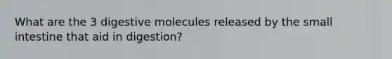 What are the 3 digestive molecules released by the small intestine that aid in digestion?