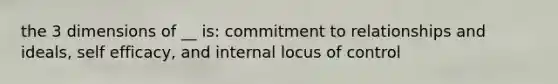 the 3 dimensions of __ is: commitment to relationships and ideals, self efficacy, and internal locus of control