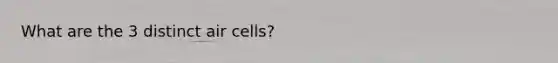 What are the 3 distinct air cells?