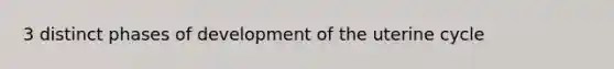 3 distinct phases of development of the uterine cycle