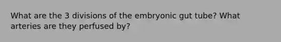 What are the 3 divisions of the embryonic gut tube? What arteries are they perfused by?